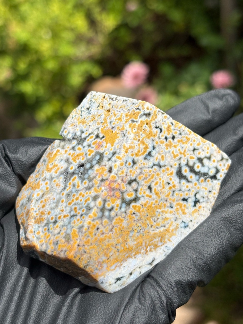 Ocean Jasper Crystal Freeform - Orbicular Jasper - Sea Jasper - Polished
